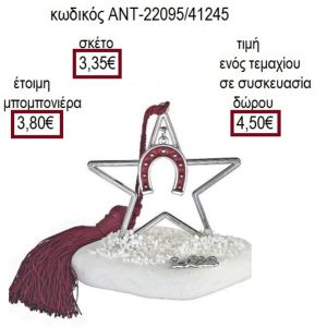 ΠΕΤΑΛΟ ΚΟΚΚΙΝΟ ΣΕ ΑΣΤΕΡΙ ΠΑΝΩ ΣΕ ΒΟΤΣΑΛΟ